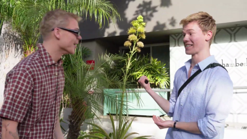 EDVIN_VLOG_LA0385.png