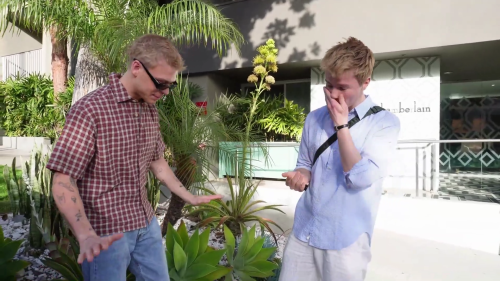 EDVIN_VLOG_LA0419.png