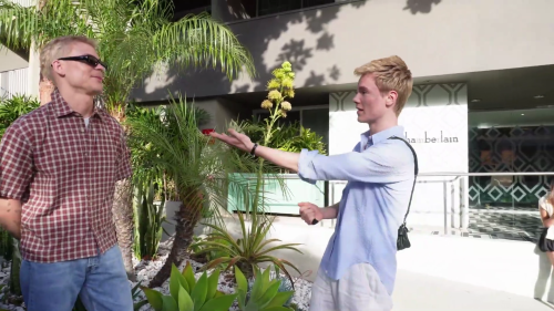 EDVIN_VLOG_LA0439.png