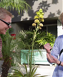 EDVIN_VLOG_LA0381.png