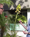 EDVIN_VLOG_LA0385.png