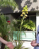Filename=EDVIN_VLOG_LA0390.png
Filesize=3825KiB
Dimensions=1920x1080
Date added=Mar 09, 2025 EDVIN_VLOG_LA0390.png