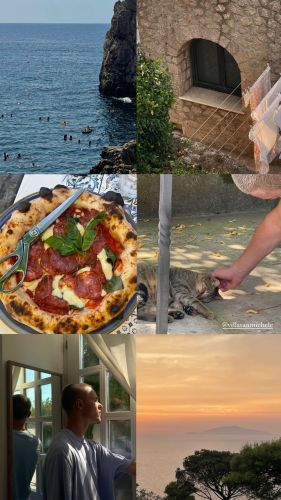 ig: turtlesafari

