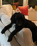 Filename=28_4~0.jpg
Filesize=206KiB
Dimensions=1080x1350
Date added=Sep 24, 2024 28_4~0.jpg