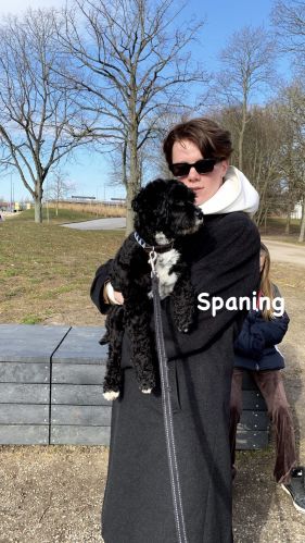 ig: tilderyding
